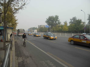 霧霾下的“椰林”呼喚 當(dāng)海南路牌廣告叩擊北京的灰色天空